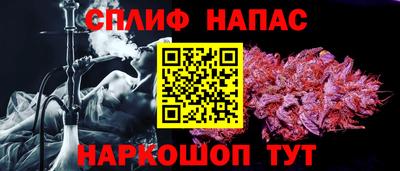 шишки Балашиха