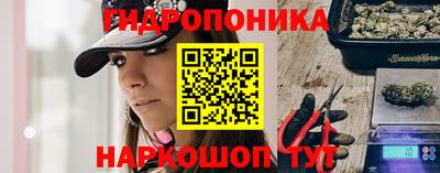 шишки Балашиха