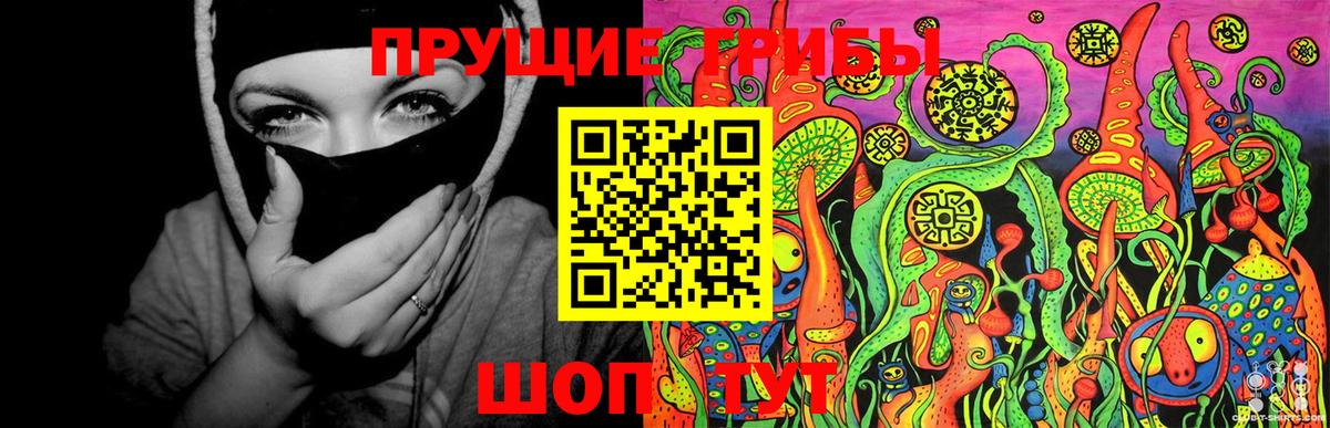 Галлюциногенные грибы мухоморы  Псилоцибиновые грибы MAGIC MUSHROOMS  Гурьевск  Вход с VPN 