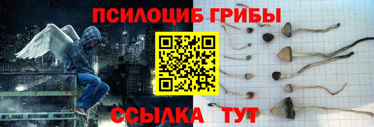 МДМА  Альфа ПВП СОЛЬ кристаллы  NBOMe  ТГК  Марихуана  КЕТАМИН  Гашиш  Вход с VPN  Гурьевск  Кокаин  Меф МЯУ МЯУ кристаллы 